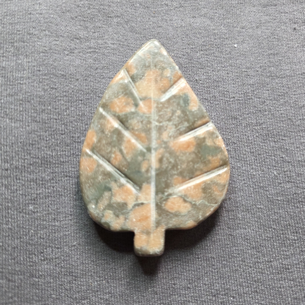 Crinoid Fossil Leaf